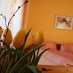 Haus Rupitsch Guest house 3*