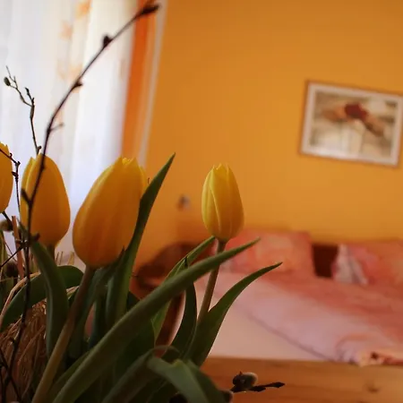 Haus Rupitsch Maison d'hôtes *