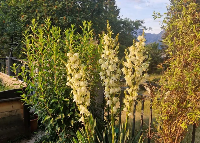 Konukevi Haus Rupitsch