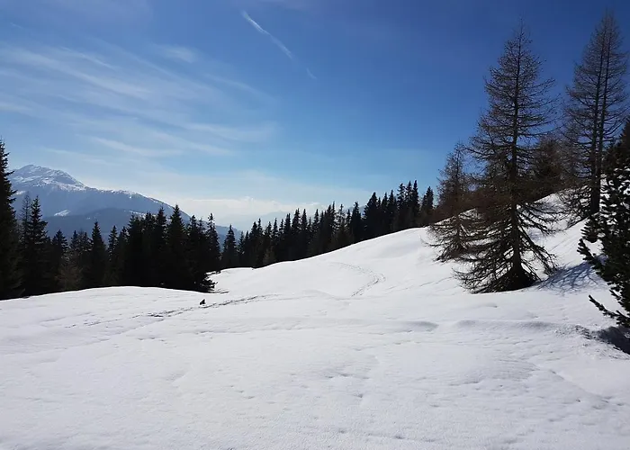 Konukevi Haus Rupitsch Winklern (Spittal an der Drau)